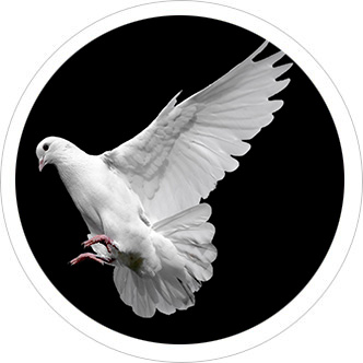 About the doves used at weddings and funerals